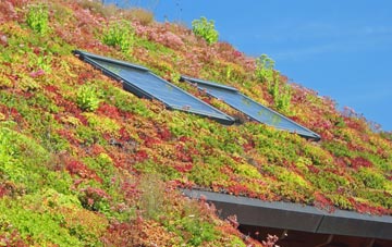 Hound Green living roof systems