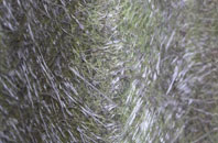 Hound Green fibreglass roof work